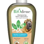 Francodex šampon Biodene výživný pro psy 250ml