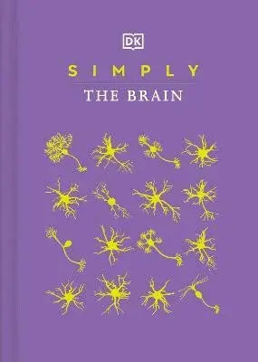 Simply The Brain - DK