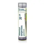 Gelsemium sempervirens 30CH granule 1x4g