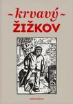 Krvavý Žižkov - Martin Reiner, kolektiv autorů, Adam Štěch