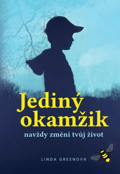 Jediný okamžik navždy změní tvůj život - Linda Greenová