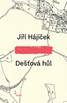 Dešťová hůl - Jiří Hájíček