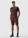 Men's Sports Shorts 4F