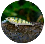 3stan wobler belly minnow bm40 h-p 4 cm 2,8 g