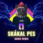 Juwe – Skákal Pes (Dance Remix)