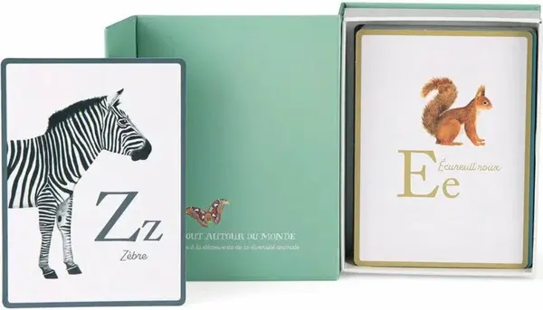 Karty ABC zvířata světa