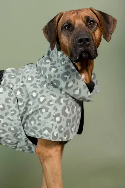 Pláštěnka pro psa PAIKKA Visibility Raincoat 56 x 45 x 0,9 cm