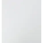 Hom`in DVEŘE, vysoce lesklá bílá, 45/44/1,6 cm