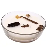 Song of India Vonná svíčka Botanicals - Balsam Cedarwood 200 g