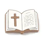 Silicone Focal Beads