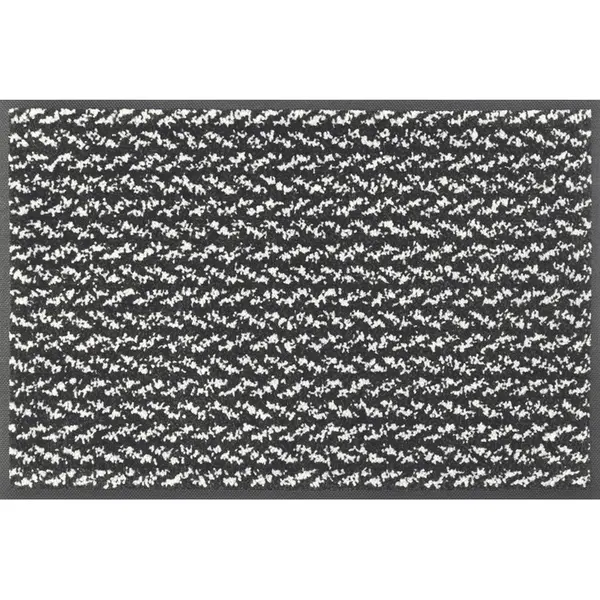 wash+dry DVEŘNÍ ROHOŽKA, 40/60 cm, černá, bílá