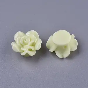 Resin Beads