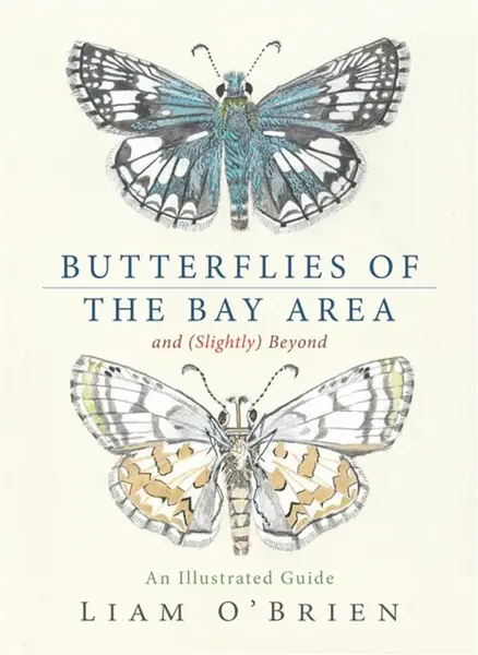 Butterflies of the Bay Area and (Slightly) Beyond - Liam O'Brien