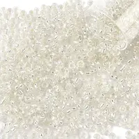 10G Glass Seed Beads