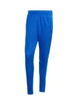 ADIDAS PERFORMANCE Športové nohavice 'Squadra 25'  modrá / žltá