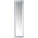 Carryhome ZRCADLO 35/140/2 cm
