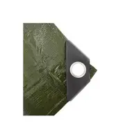 Plachta zakrývací PROFI, 4 x 6 m, 200 g/m2, zelená, ENPRO