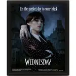 3D Obraz Wednesday