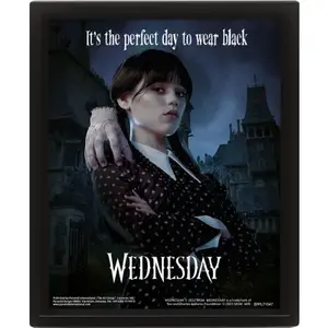 3D Obraz Wednesday