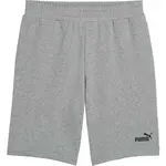 Puma ESSENTIALS NO. 1 SHORTS 10 Pánske voľnočasové šortky, sivá, veľkosť