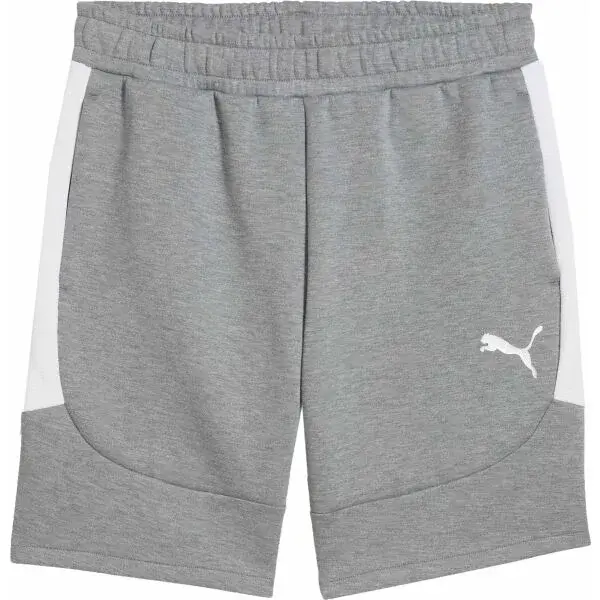 Puma TEAMEVOSTRIPE SHORTS Pánske šortky, sivá, veľkosť