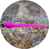 Redbass gumová nástraha micro tail signal pink uv color - xs 35 mm