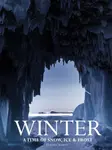 Winter - Claudia Martin