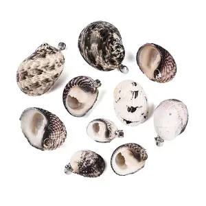 Brass & Natural Spiral Shell Pendants
