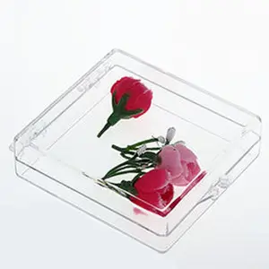 Transparent Plastic Bead Containers