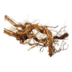 Dragon Wood XXL 60-90cm 1 kus