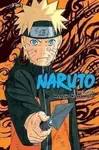 Naruto (3-in-1 Edition), Vol. 14 - Masaši Kišimoto