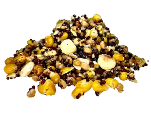 LK Baits Partikl mix Special s Tygřím ořechem 1kg