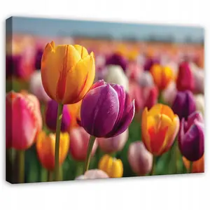 Wallarena PLÁTNO Květiny Tulipány Barevné 100x70 cm