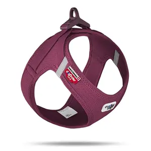 Curli Postroj pro psy se sponou Air-Mesh Ruby 2XS, 2-4 kg