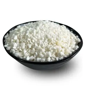 Lyopotraviny BIO lyofilizovaný kokos, 100 g (121)