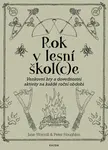 Rok v lesní škol(c)e