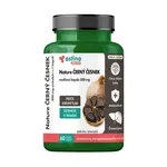 Astina Nature ČERNÝ ČESNEK 500 mg 60 kapslí