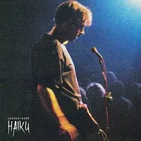 Houpací koně – Haiku