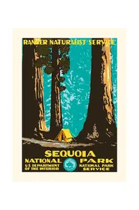 PLAKAT Nástěnná dekorace PLAKAT Sequoia 30 x 40 cm