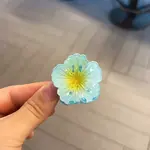Flower Plastic Claw Hair Clips