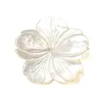 Natural White Shell Beads