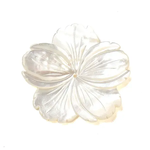 Natural White Shell Beads