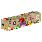 LEROS PANI UČITEĽKE