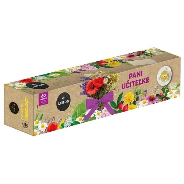 LEROS PANI UČITEĽKE