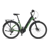 Trekingové elektrokolo 4EVER Comfort Elite 720Wh 28" 10.0 S (16", 155-165 cm) snake green/black