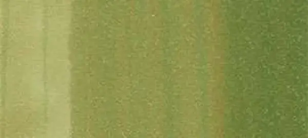 Copic Ink – G24 Willow