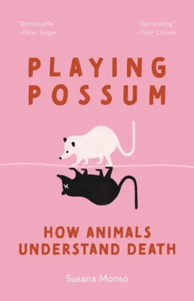 Playing Possum - Susana Monso