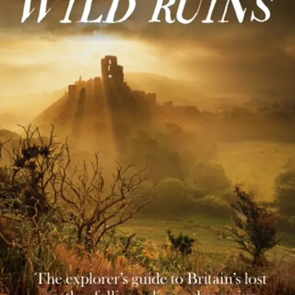 Wild Ruins - Dave Hamilton