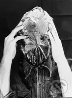 Akce / Action - Kolektiv - kniha z kategorie Dějiny umění