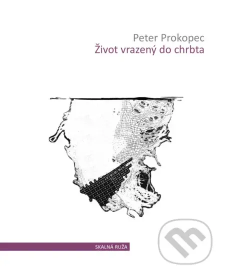 Život vrazený do chrbta - Peter Prokopec, Ján Kurinec (ilustrácie) - kniha z kategorie Památníky, deníky